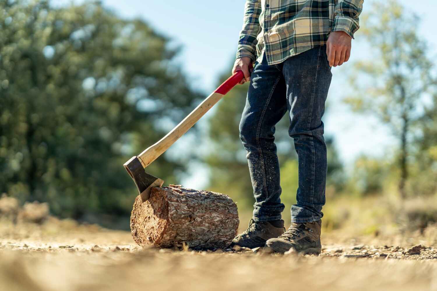 Best Tree Root Removal  in Boston, GA